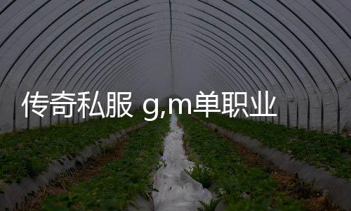 传奇私服 g,m单职业下载与安装教程,最新传奇私服 g,m单职业开服公告